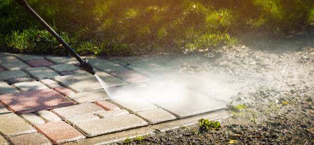 Best Soft Washing  in Amboy, IL